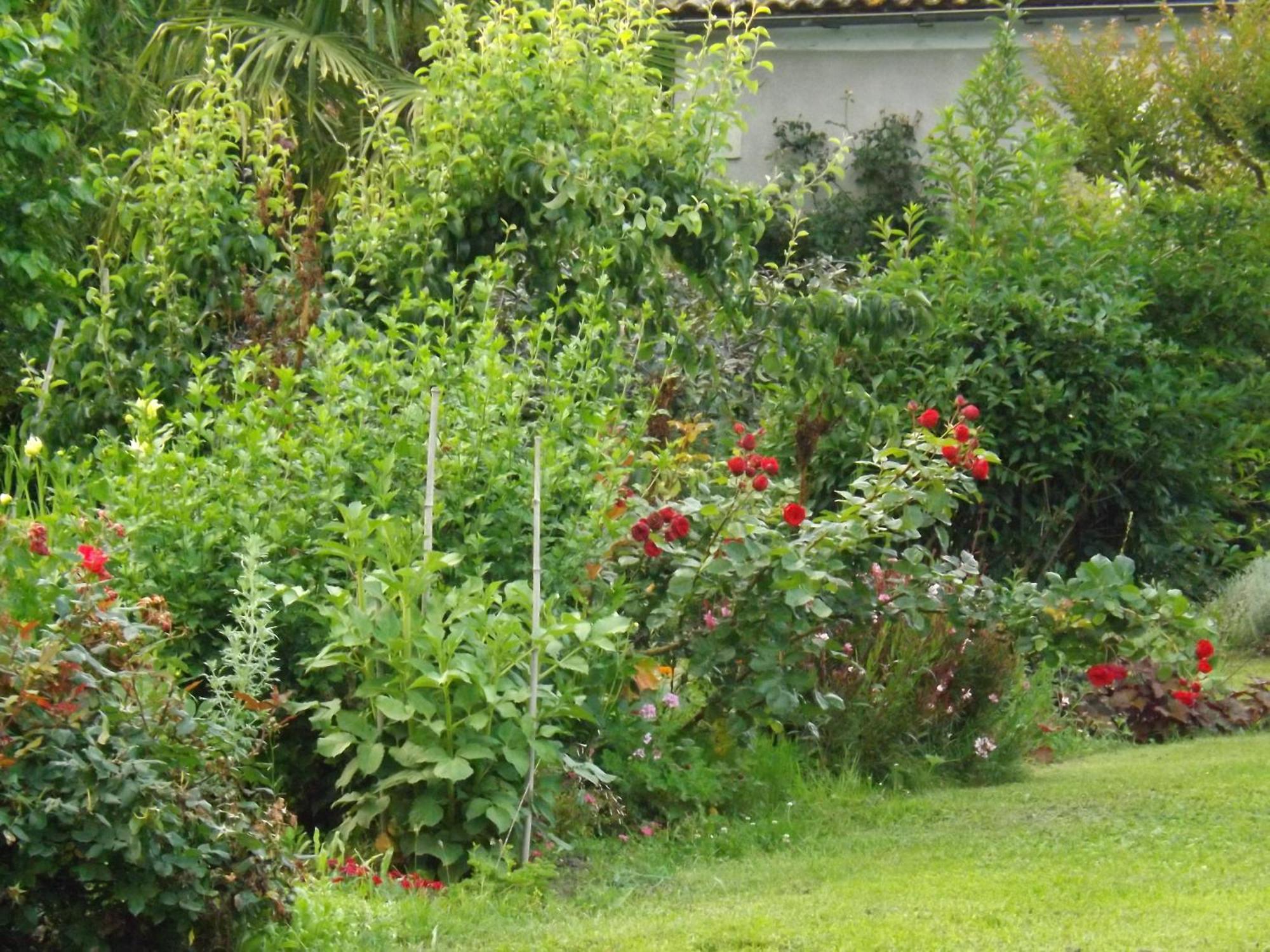 Bed and Breakfast Damechouette Pujols  Exteriér fotografie
